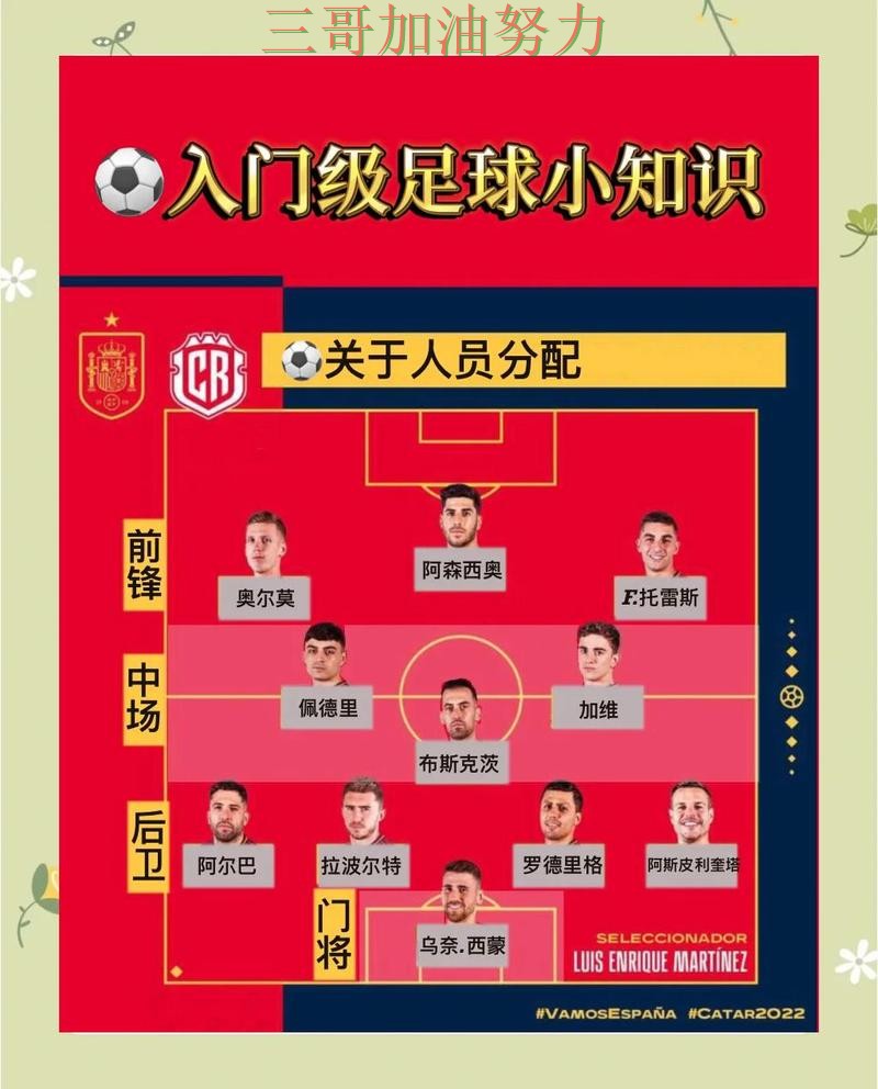 世界杯买球使用指南总结：怎么开始关键点解析（世界杯数据）